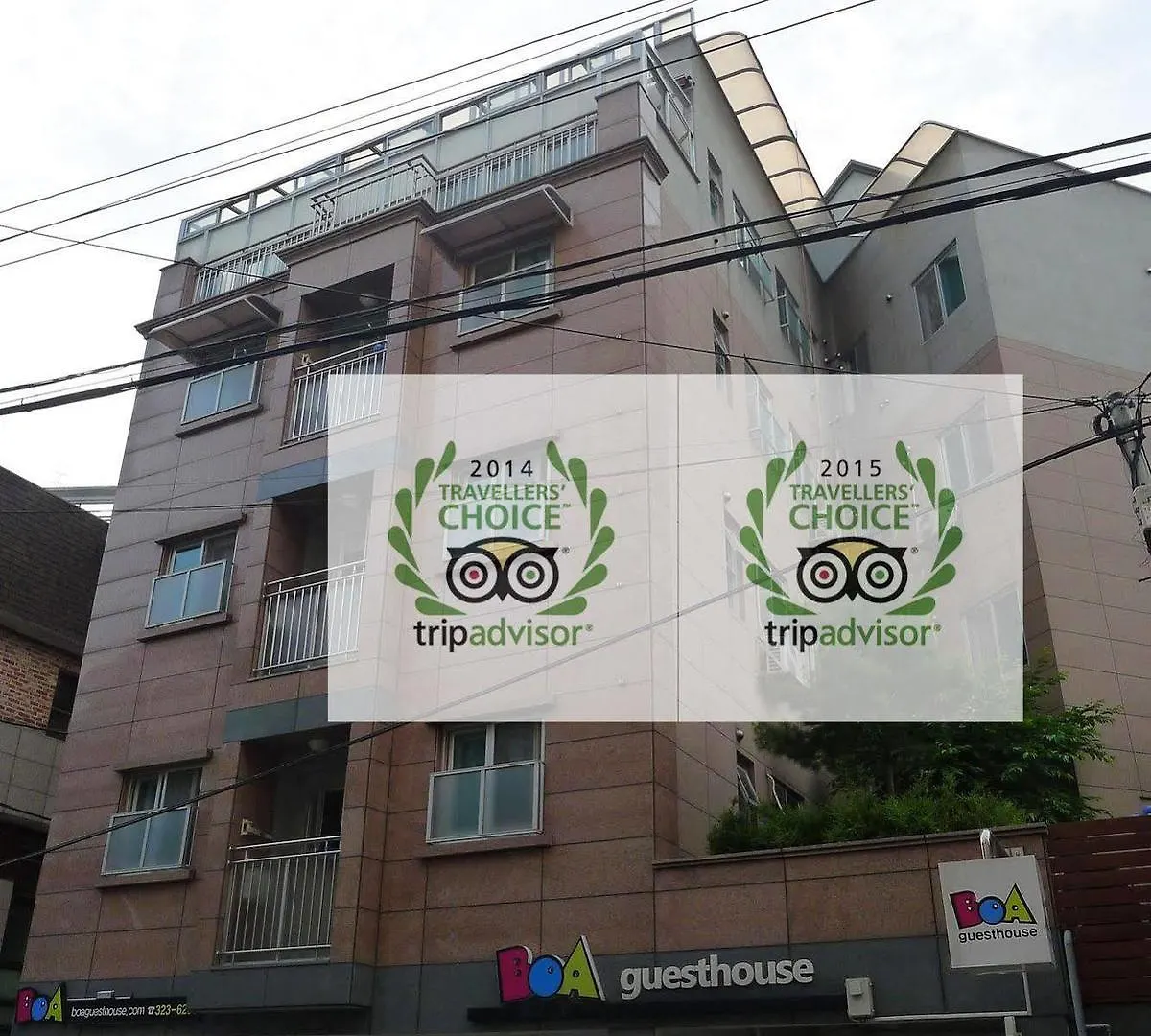 Boa Travel House Hostel Seoul